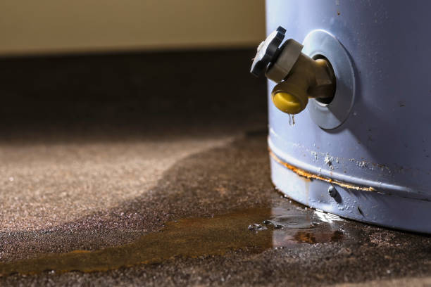 Best 24-hour water damage restoration  in , MN