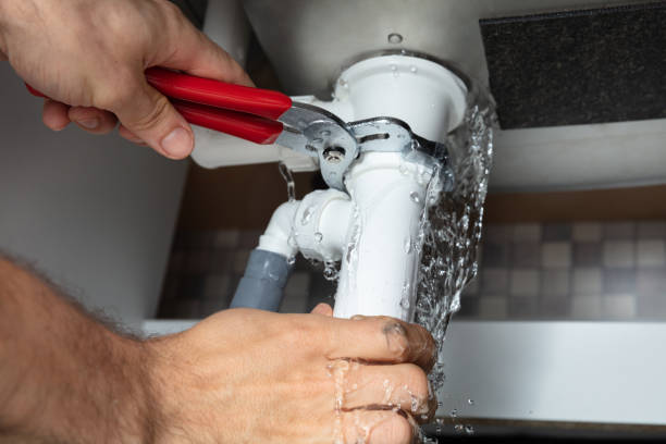 Best Sewage cleanup and water damage restoration  in , MN