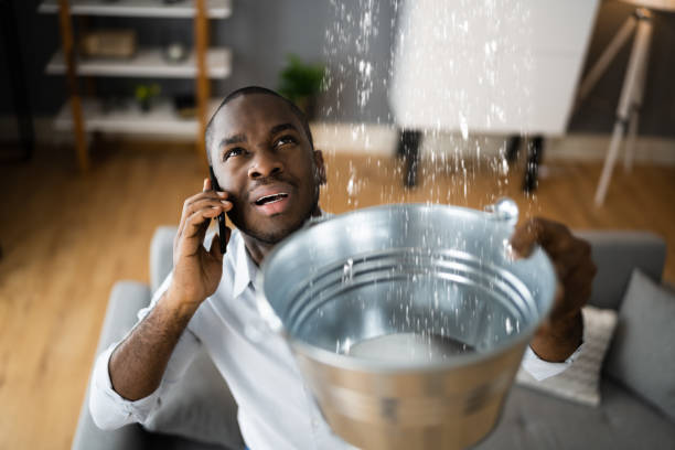 Best Flood restoration services  in , MN