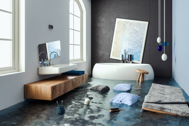 Best Water damage restoration mold remediation  in , MN