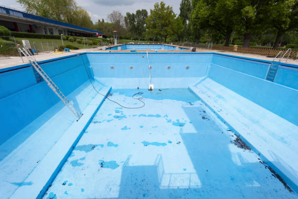 Best Flood restoration services  in , MN