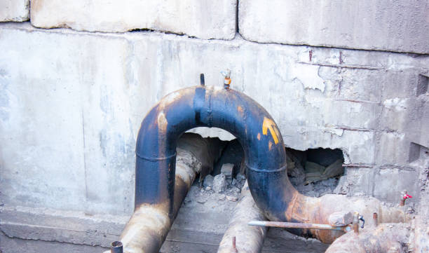 Best Water damage restoration near me  in , MN
